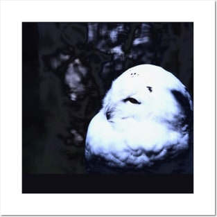 snow owl 3 / Swiss Artwork Photography Posters and Art